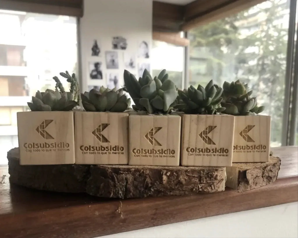 Suculentas mini para empresa con base en madera marcada con logo